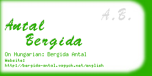 antal bergida business card